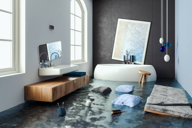Reliable Thompson Falls, MT Water damage restoration Solutions