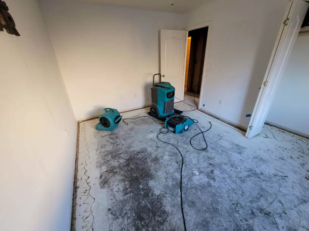 Best Fire Damage Restoration  in Thompson Falls, MT