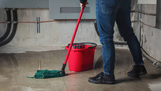 Best 24-hour water damage restoration  in Thompson Falls, MT