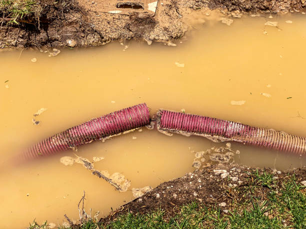 Water damage restoration process in Thompson Falls, MT