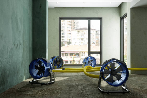 Best Emergency water damage restoration  in Thompson Falls, MT